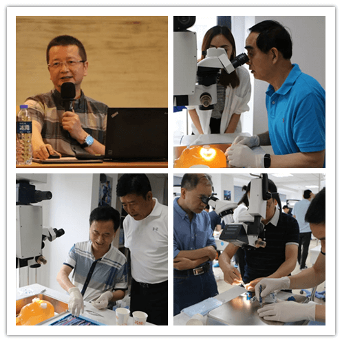 8868体育2019年眼内屈光手术技术高峰论坛隆重举行101副本.png