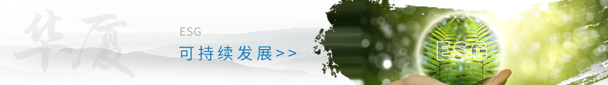 8868体育